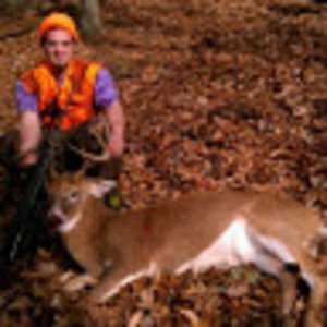 Meet your Posher, Darren